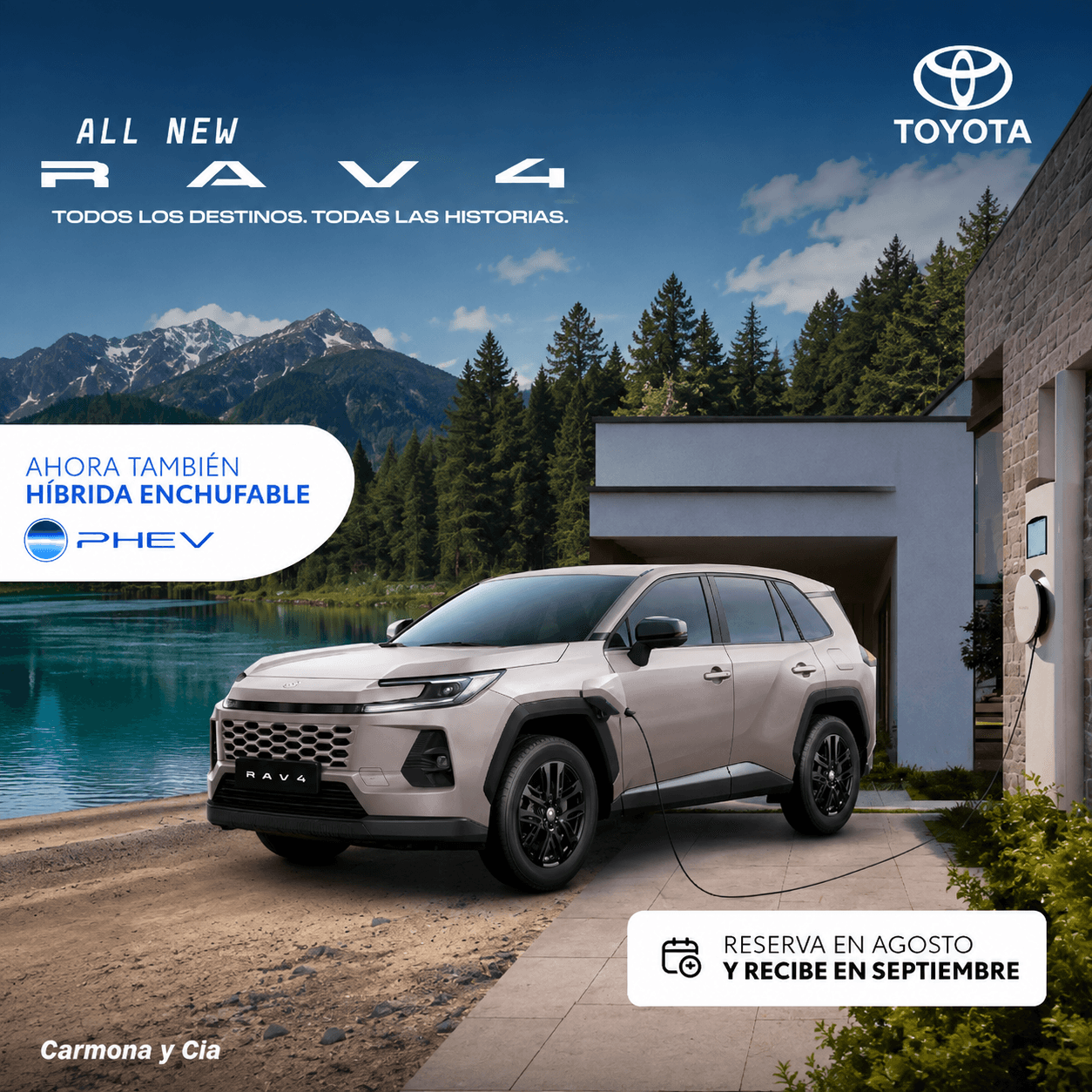 Banner Toyota Rav4